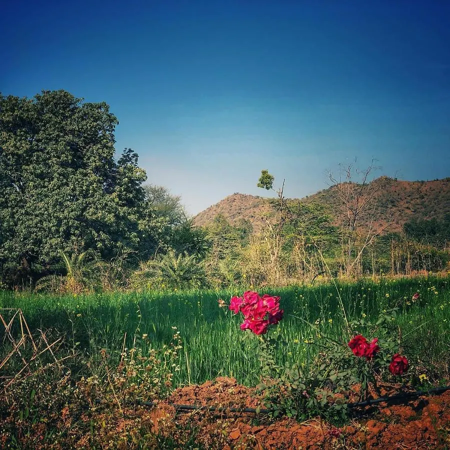 The Riverside Estate - 3Bedroom Private Pool Villa In Udaipur