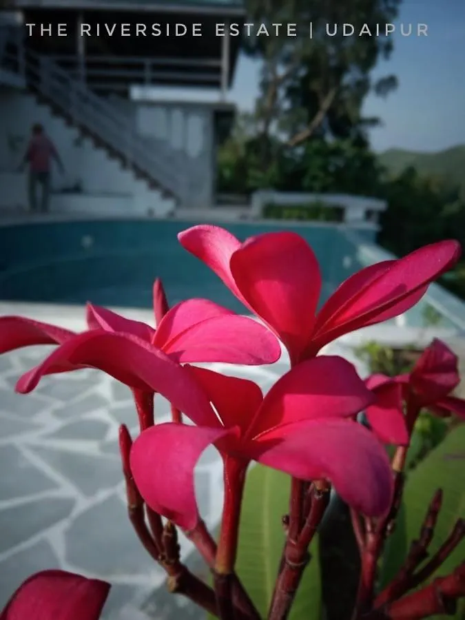 The Riverside Estate - 3Bedroom Private Pool Villa In Udaipur